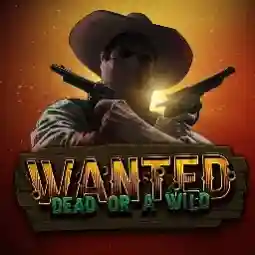Wanted Dead or a Wild sur Winner Casino pour les joueurs en France Wanted Dead or a Wild sur Winner Casino pour les joueurs en France